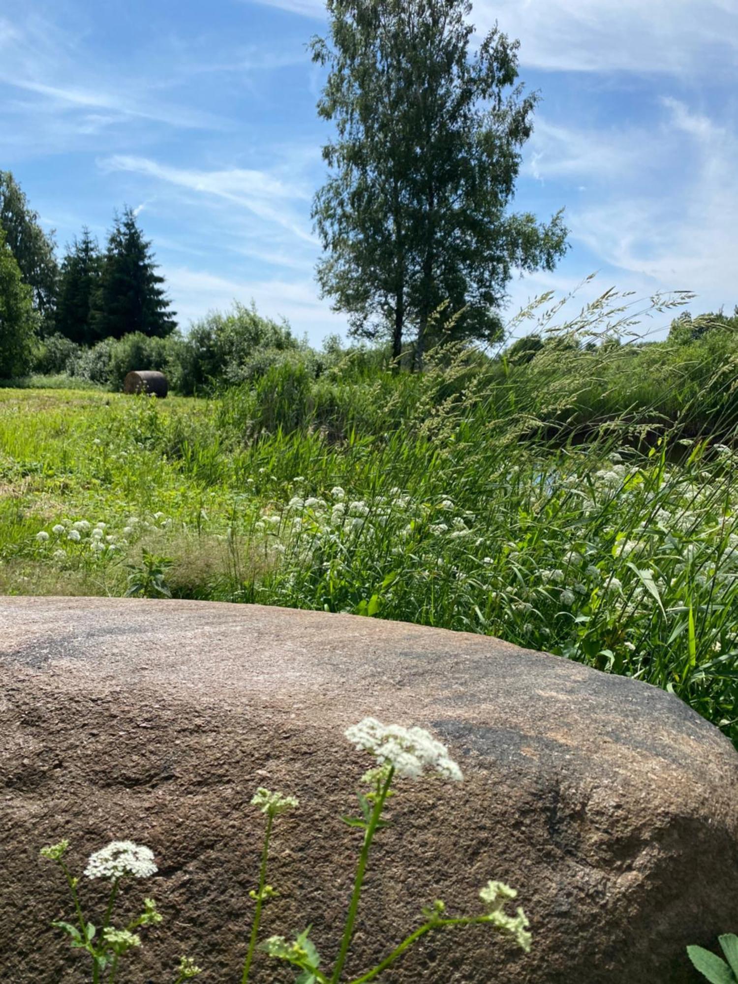Suurkivi Nature Escape Häädemeeste Exterior foto